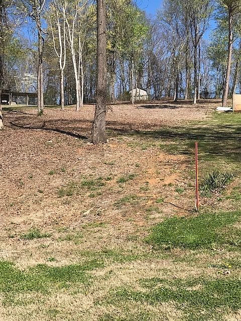 2nd image of 6 Piney View Dr