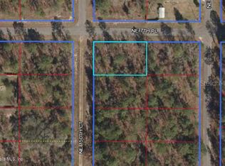 15091 NE 7th Pl, Williston, FL 32696