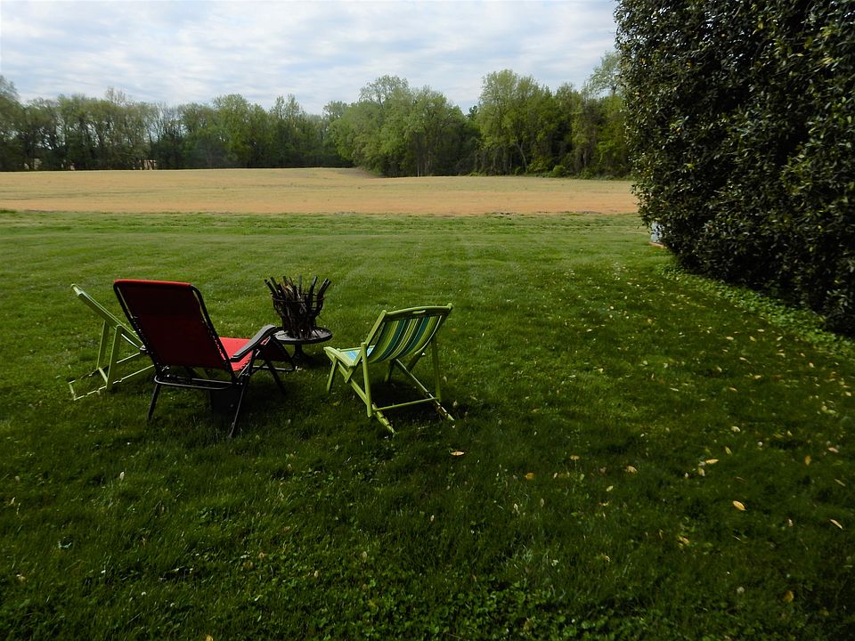 Tranquil back yard