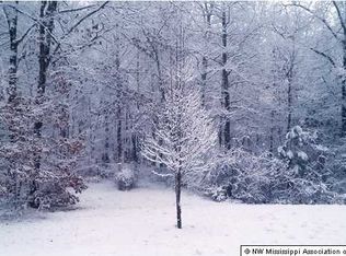 1110 Lundine Rd, Holly Springs, MS 38635