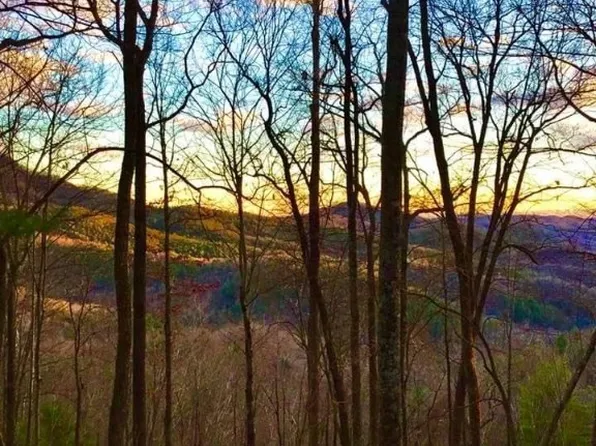 7730 Globe Road, Blowing Rock, NC 28605