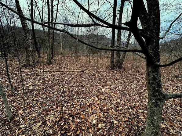Tbd Ny-214 Route, Lanesville, NY 12464