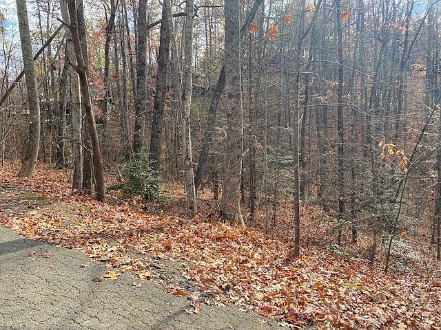 2nd image of 1186 Bobs Pass Lot 1186