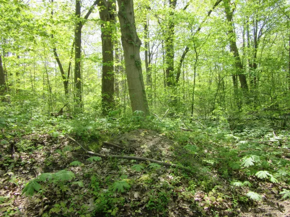 5988 Jefferson St, Coloma, MI 49038