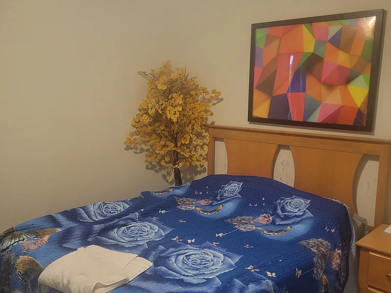 11431 Windy Cedar Ct — Photo 13