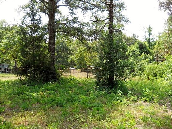 5th image of 61 Sandy Creek Ln