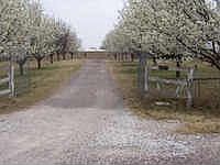 1st image of 8474 County Road 172