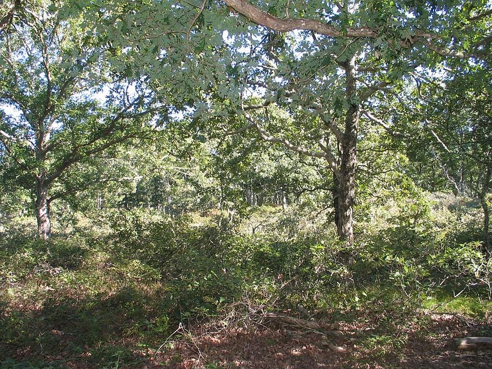 1st image of 18 Stoney Hill Ln