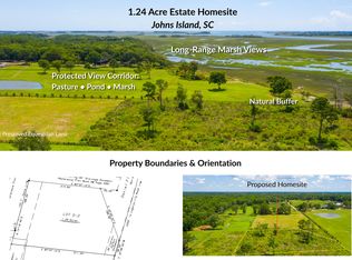 0 Daniel Fludd Rd, Johns Island, SC 29455