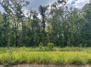 LOT 40 NW Blue Oak Ln, Jennings, FL 32053