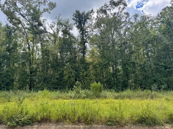 LOT 40 NW Blue Oak Ln, Jennings, FL 32053
