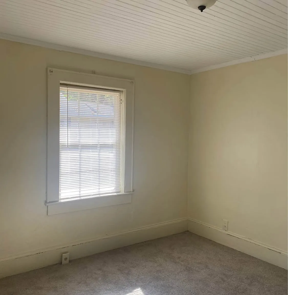 1 bed, 650 sqft, $830 — Photo 3