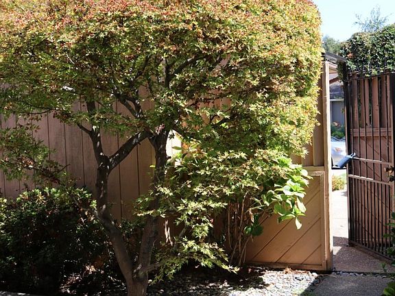 3rd image of 5077 Gadwall Cir