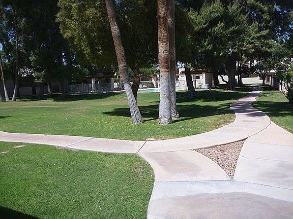 Shaded Common Area