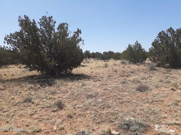 NE 10 Acre 1780 Buffington Hill Road #-, Heber, AZ 85928