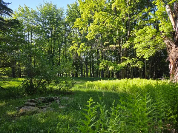 324 Turkey Hill Rd, Margaretville, NY 12455