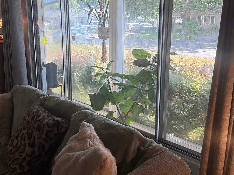 905 SE Fern St — Photo 22