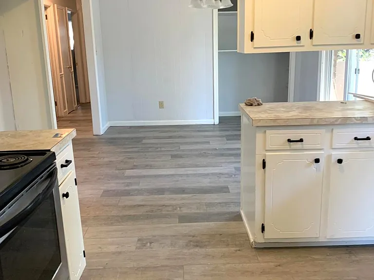 Kitchen and Dining Room