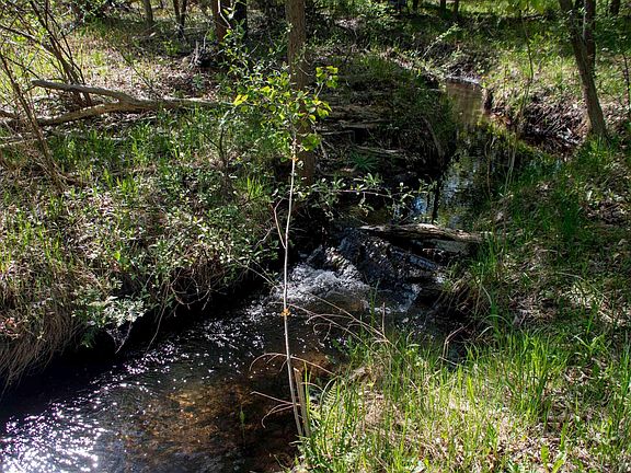 3rd image of 1436 Vanderlip Rd