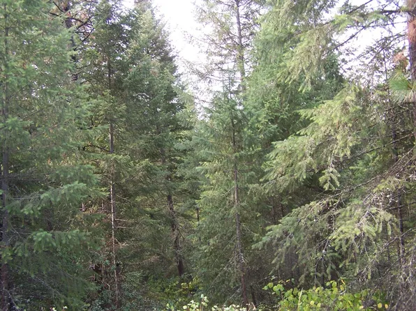 3XX Knapp Rd, Colville, WA 99114