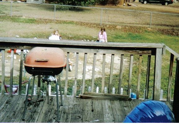 Partial view of backyard