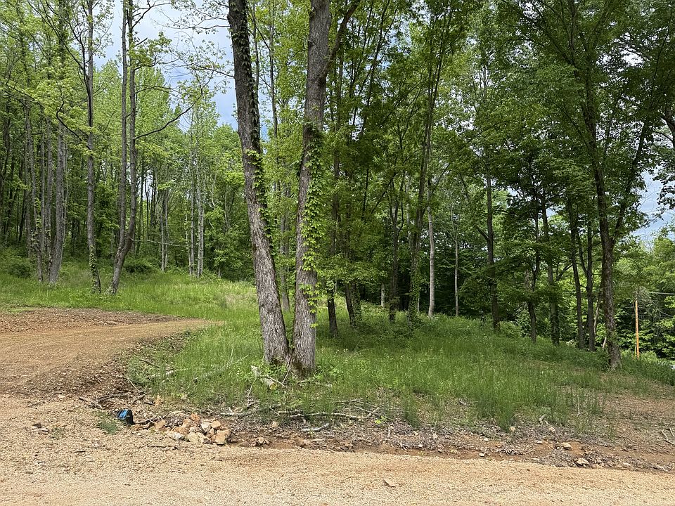 2nd image of 0 Lobelville Hwy Lot 1