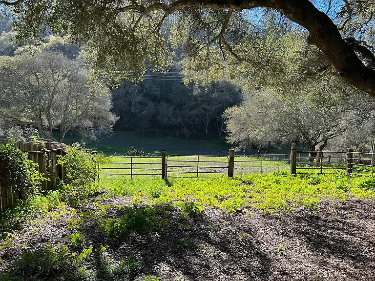 Hambey Ln — Photo 19
