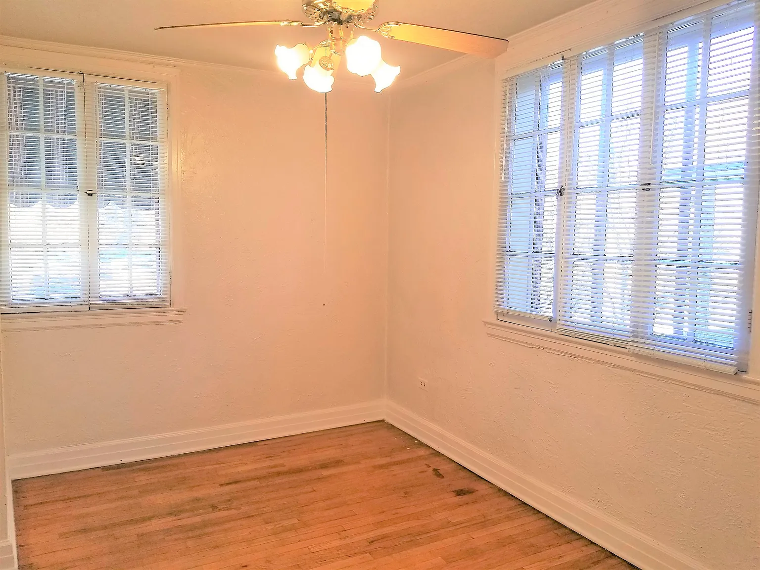 Spacious One Bedroom Corner Unit for Rent with Hardwood Floors and Free High Speed Wifi! — Photo 4