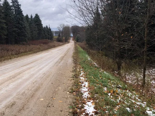 22 Mile Rd, Tustin, MI 49688