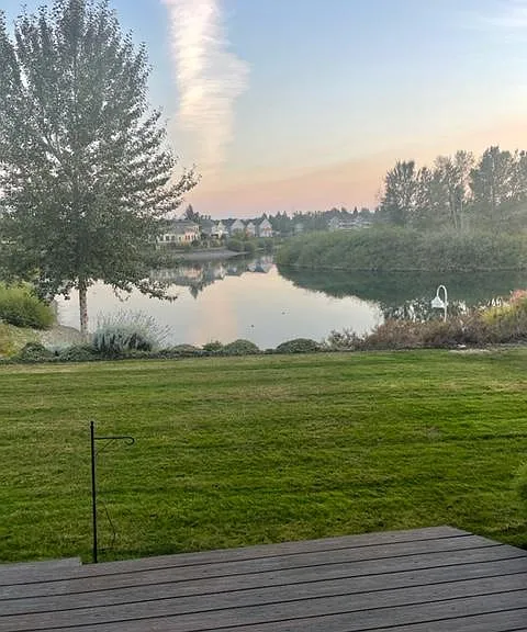 View from the deck