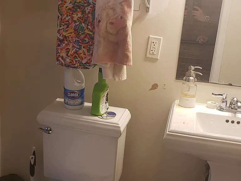 Second story front bathroom