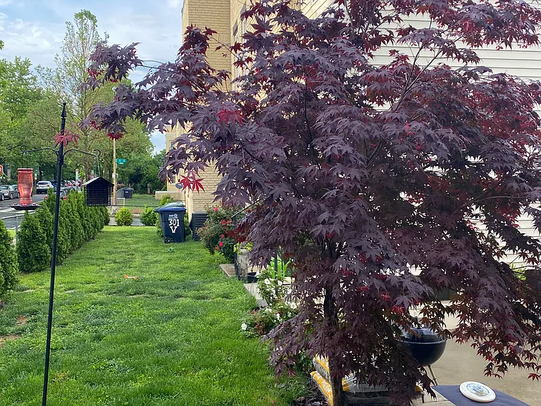 Private side yard (includes two raised planter beds for any lovers of gardening)