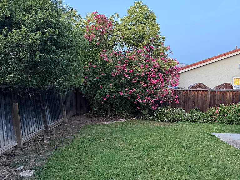 3277 Fallen Oak Ct — Photo 10