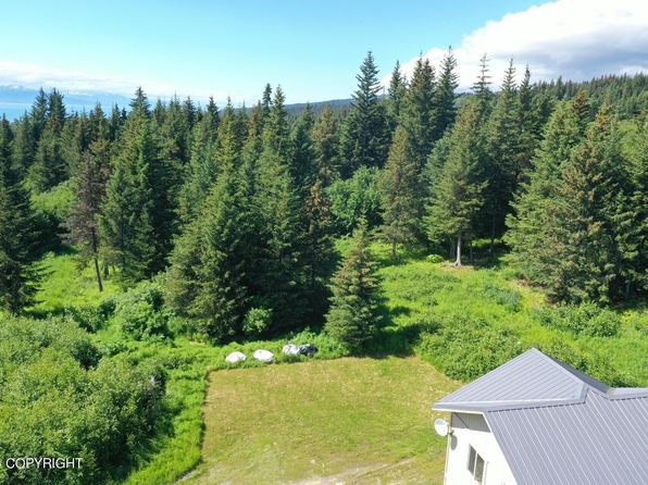 32817 Puzzlz Cir, Homer, AK 99603