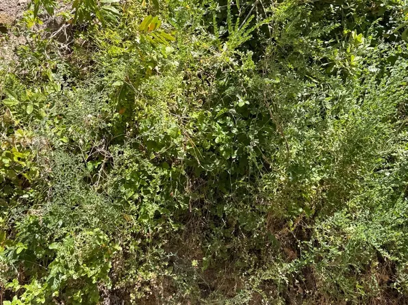 275 Carrol Ave, Felton, CA 95018