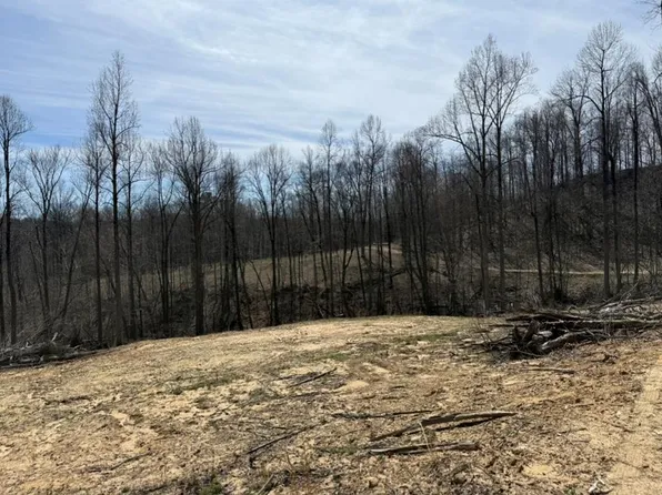 8181 White Oak Flatt Rd, Sparta, TN 38583