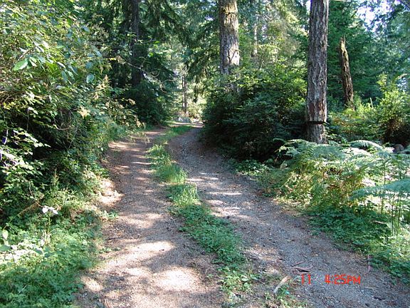 3rd image of 13257 Tenino Dr W