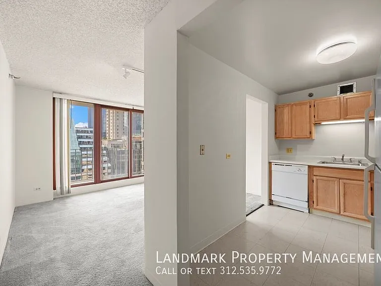 200 N Dearborn St #3201 — Photo 8