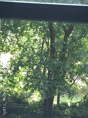 Rented by Living New York | media 31