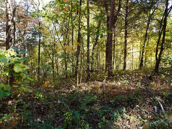 46 West Dr #46, Parrottsville, TN 37843