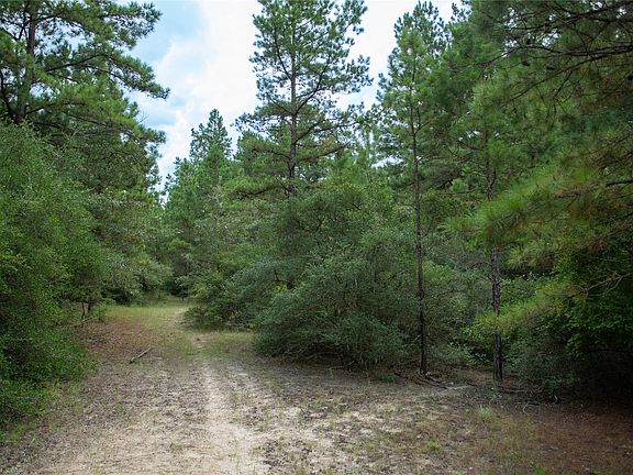 5th image of 1655 County Road 1315