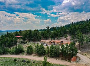 424 Saddle Trl, Hartsel, CO 80449