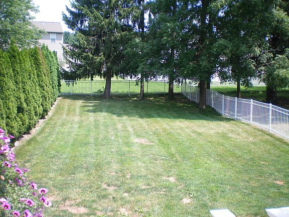 Rear Yard