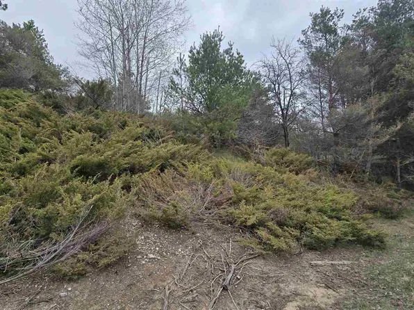 4936 Johnston Hl, Harbor Springs, MI 49740