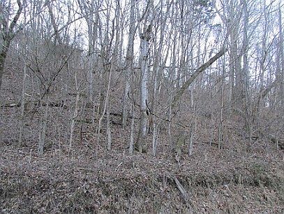 2nd image of Martin Hollow Rd