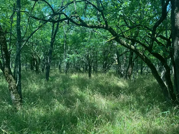 Black Land Rd, Haworth, OK 74740