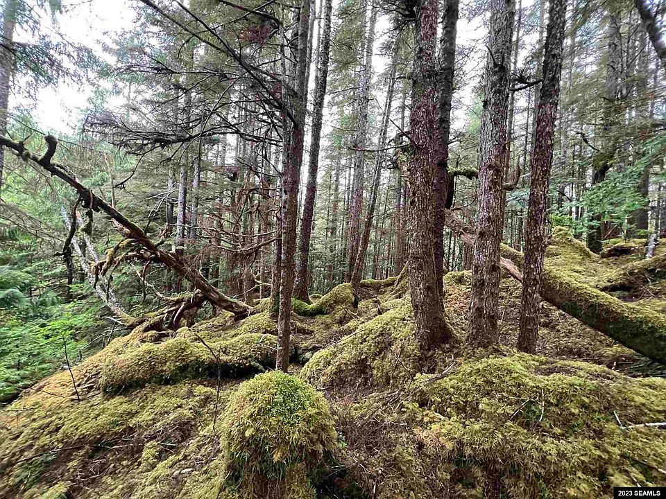 Legal Address Only Thorne Bay Lot 4; Block 6; Plat, Thorne Bay, AK