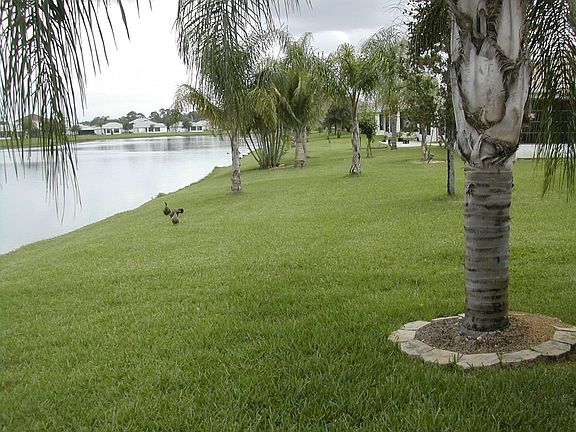 Backyard View