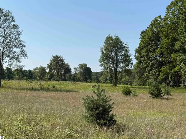 PARCEL A S Bright Rd #6, Maple City, MI 49664
