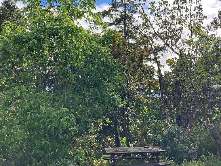 3316 Hillcrest Rd — Photo 32
